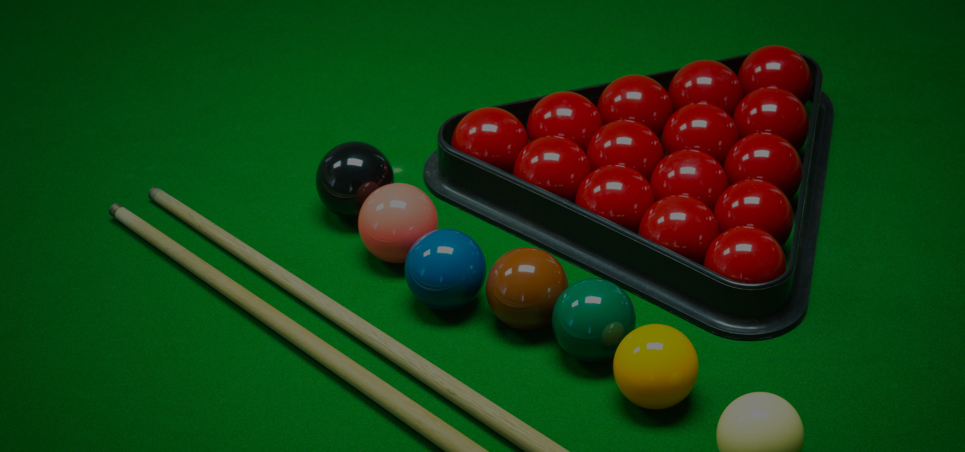 The Snooker Coach