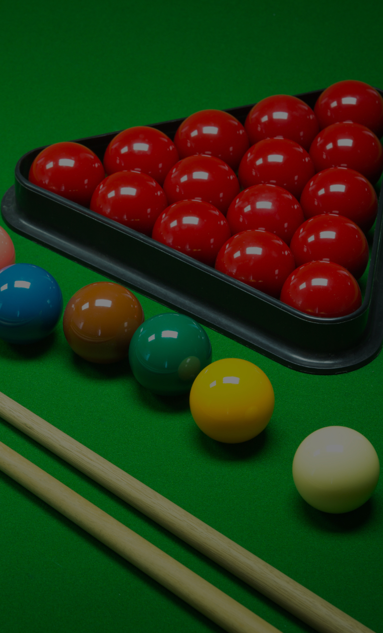 The Snooker Coach